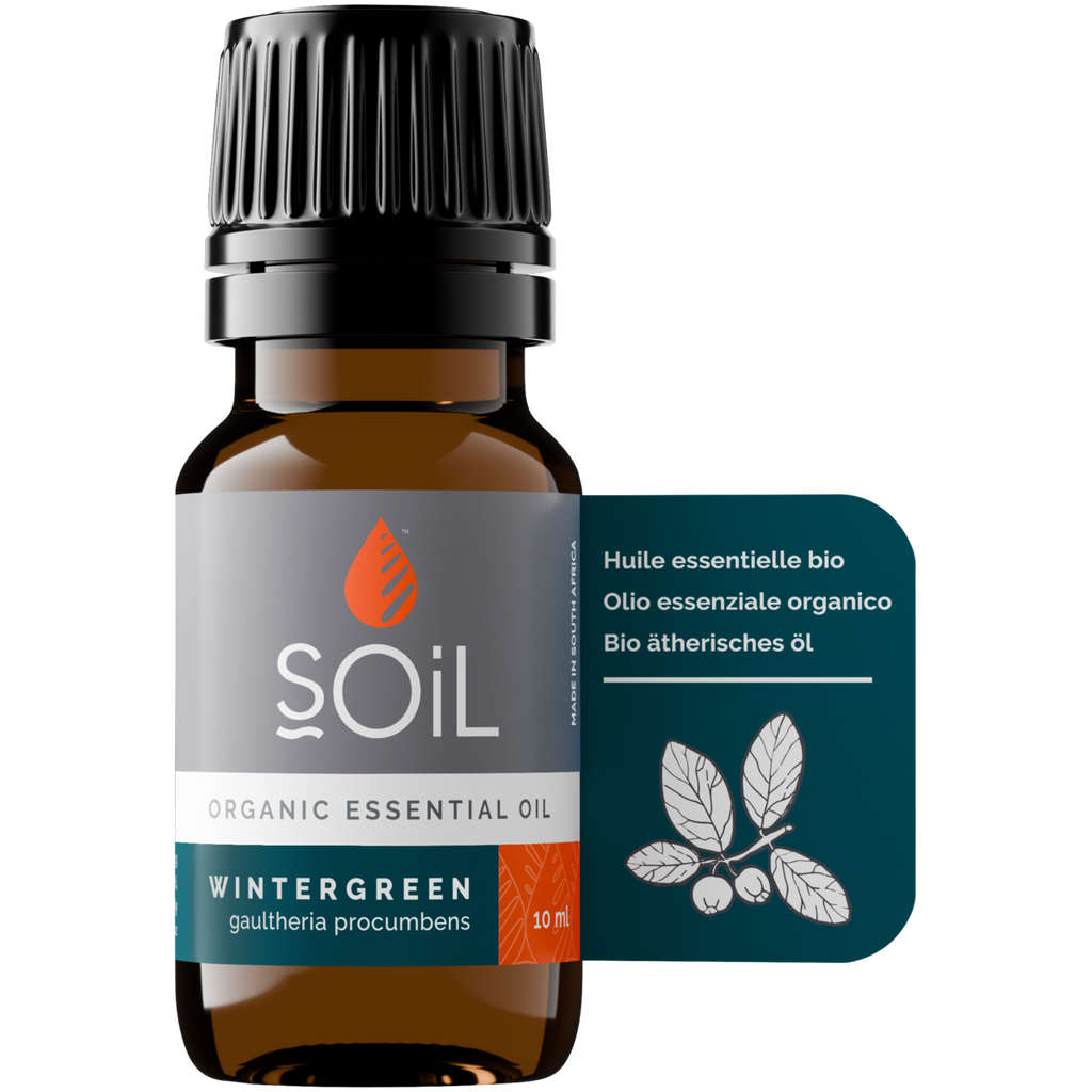 Organic Wintergreen Essential Oil (Gaulteria Procumbens) 10ml